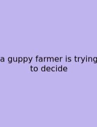 A Guppy Farmer Is Trying To Decide
