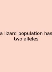 A Lizard Population Has Two Alleles