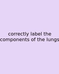 Correctly Label The Components Of The Lungs
