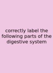 Correctly Label The Following Parts Of The Digestive System