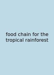 Food Chain For The Tropical Rainforest