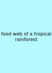 Food Web Of A Tropical Rainforest