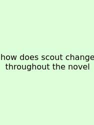 How Does Scout Change Throughout The Novel