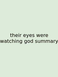 Their Eyes Were Watching God Summary